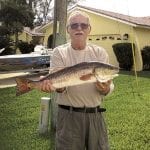 article image -